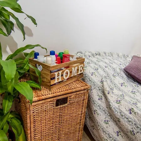 Lizart Garden Guest house Rome