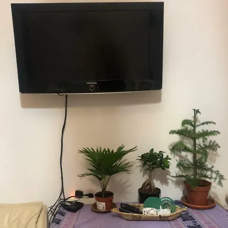 Guest house Lizart Garden Rome