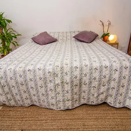 Lizart Garden Πανσιόν Ρώμη