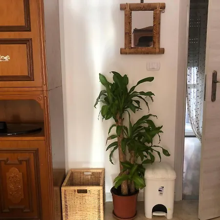 Lizart Garden Guest house *