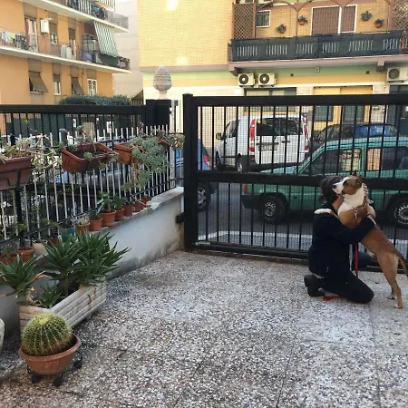Affittacamere Lizart Garden