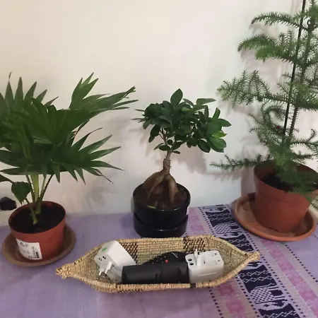 Lizart Garden Гостевой дом Рим