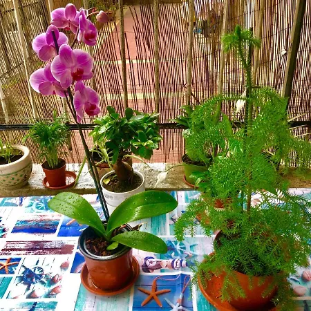 Lizart Garden Рим